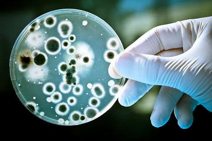 Hygieneinspektion durch die Reinigungsfirma Recla in Wien und Umgebung
