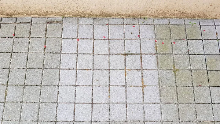 Probefläche gereinigt mit effektiven Mikroorganismen zur Entfernung von Grünbelag